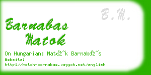 barnabas matok business card